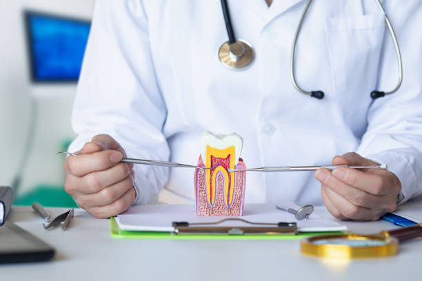 Best Broken or Cracked Tooth Emergency Dentist in Centereach, NY